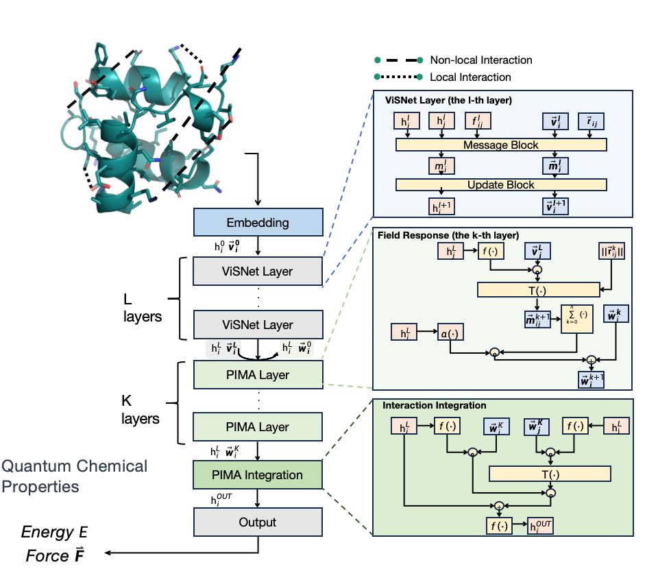 Enhancing non-local interaction modeling for ab initio biomolecular calculations and simulations with ViSNet-PIMA